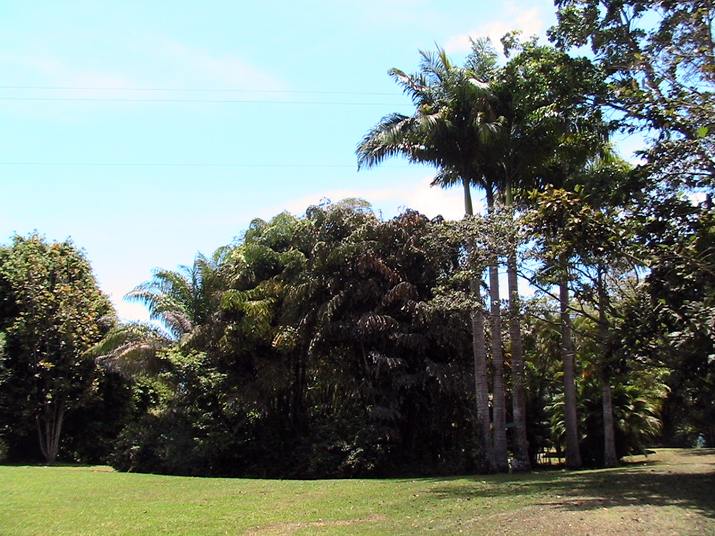 28 - Jardin des eaux 017.jpg